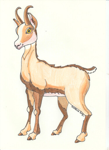 Drawing titled "Chamois" by Isabelle Jura, Original Artwork, Pencil