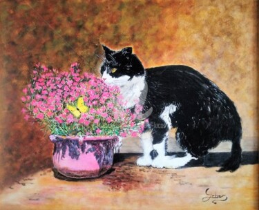Peinture intitulée "Le chat et le papil…" par Isabelle Lucas, Œuvre d'art originale, Huile