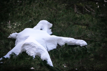 Photography titled "Le  Yeti" by Isabelle Pautrot, Original Artwork