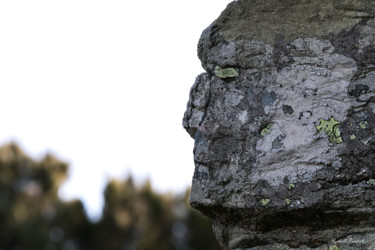 Photographie intitulée "Maestosa sintinella" par Isabelle Pautrot, Œuvre d'art originale