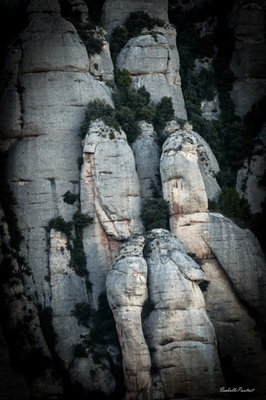 Photography titled "Les fantômes de Mon…" by Isabelle Pautrot, Original Artwork