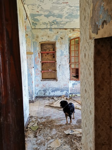 Photography titled "Abandon nostalgie" by Isabelle Pautrot, Original Artwork, Non Manipulated Photography