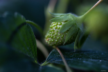 Fotografia zatytułowany „Fraise” autorstwa Isabelle Pautrot, Oryginalna praca, Fotografia cyfrowa