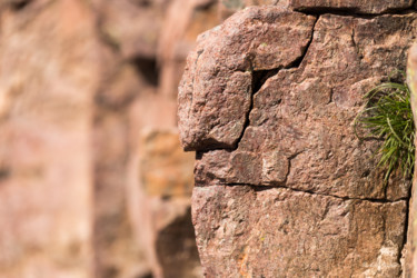 Fotografía titulada "Le gardien du Cintu" por Isabelle Pautrot, Obra de arte original, Fotografía digital