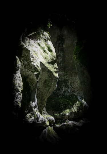 Фотография под названием "Groot" - Isabelle Pautrot, Подлинное произведение искусства, Цифровая фотография