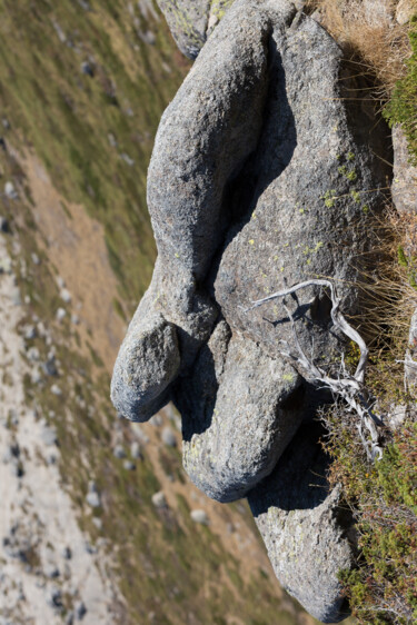 Fotografia zatytułowany „Le gardien des mond…” autorstwa Isabelle Pautrot, Oryginalna praca, Fotografia cyfrowa