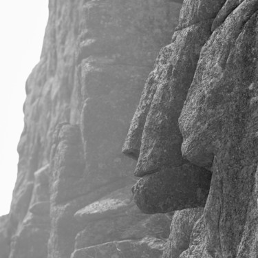 Photographie intitulée "Sentinelle" par Isabelle Pautrot, Œuvre d'art originale, Photographie numérique