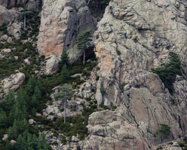 Photographie intitulée "Le Dieu penseur" par Isabelle Pautrot, Œuvre d'art originale