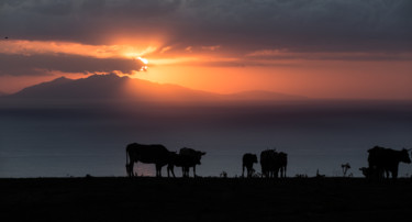 Photographie intitulée "Lever de soleil" par Isabelle Pautrot, Œuvre d'art originale