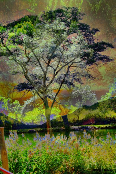 Digital Arts titled "Nature" by Isabelle Renimel, Original Artwork, Photo Montage