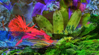 Photography titled "Fleur Réunion" by Isabelle Renimel, Original Artwork, Manipulated Photography