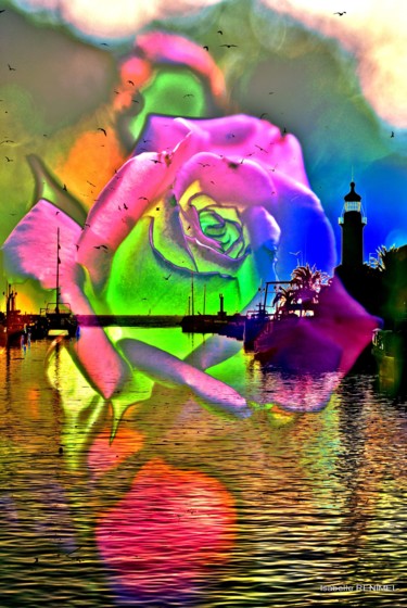 Photographie intitulée "Rose" par Isabelle Renimel, Œuvre d'art originale, Photo montage