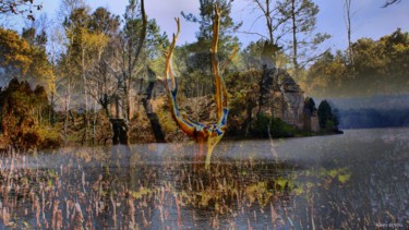 Fotografie mit dem Titel "Mystique Brocéliande" von Isabelle Renimel, Original-Kunstwerk, Manipulierte Fotografie