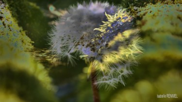 Photographie intitulée "Jeu de lumières" par Isabelle Renimel, Œuvre d'art originale, Photographie numérique