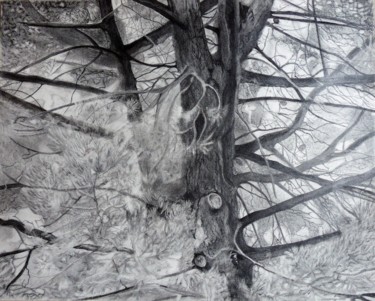 Drawing titled "Auprès de mon arbre" by Isabelle Thanwerdas, Original Artwork, Graphite Mounted on Glass