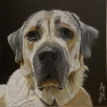 Dibujo titulada "portrait de Locky" por Isabelle Tysiac, Obra de arte original, Pastel