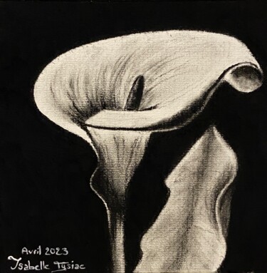 Dessin intitulée "arum" par Isabelle Tysiac, Œuvre d'art originale, Pastel