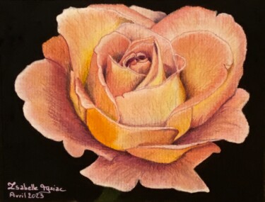 Zeichnungen mit dem Titel "Rose orangée" von Isabelle Tysiac, Original-Kunstwerk, Pastell Auf artwork_cat. montiert