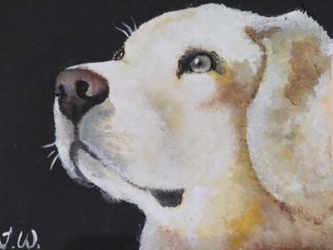 Pintura titulada "Labrador" por Isabelle Wickihalder, Obra de arte original, Acrílico