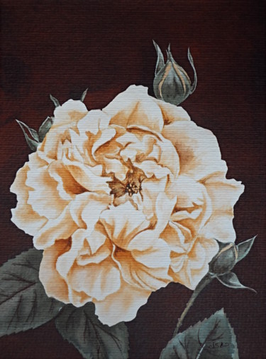 Painting titled "rose-sepia" by Isabelle Blanchon, Original Artwork, Ink