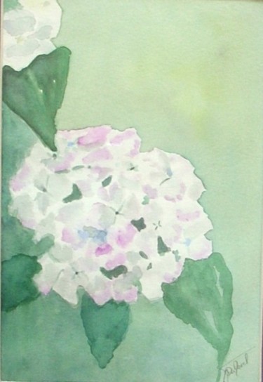 Painting titled "Hortensia blanc" by Isabelle Dumorel, Original Artwork