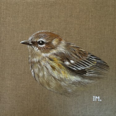 Painting titled "Série oiseaux n13,…" by Isabelle Molinard, Original Artwork, Acrylic