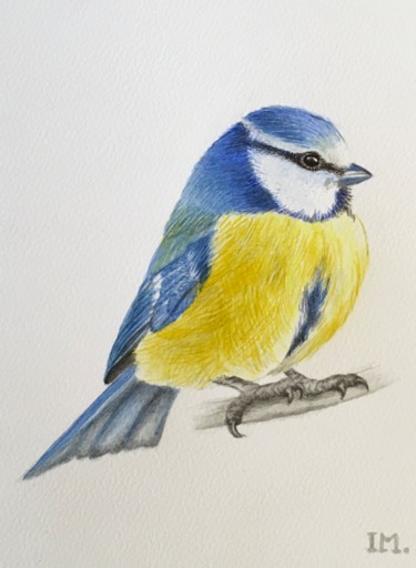 Painting titled "Série Oiseaux n 28" by Isabelle Molinard, Original Artwork, Watercolor