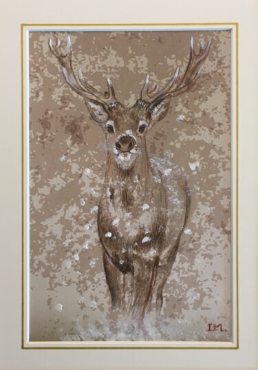 Painting titled "Cerf , petit" by Isabelle Molinard, Original Artwork, Pencil