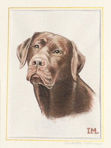 Painting titled "Labrador" by Isabelle Molinard, Original Artwork, Watercolor