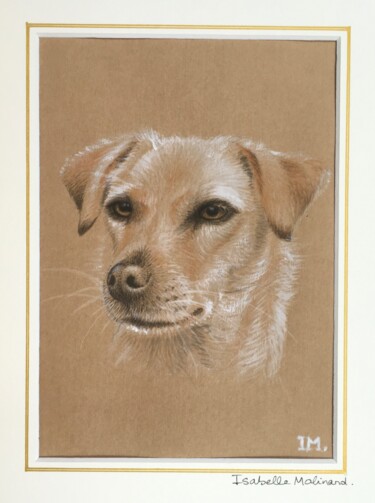 Painting titled "Jack Russell" by Isabelle Molinard, Original Artwork, Watercolor