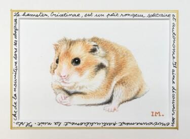 Peinture intitulée "Hamster" par Isabelle Molinard, Œuvre d'art originale, Aquarelle