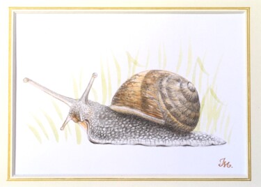 Pintura intitulada "Escargot petit gris" por Isabelle Molinard, Obras de arte originais, Aquarela