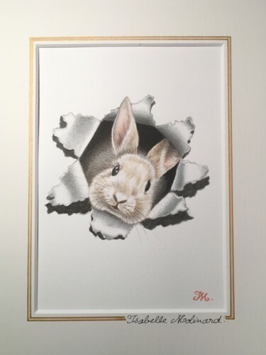 Painting titled "Lapin rose" by Isabelle Molinard, Original Artwork, Watercolor