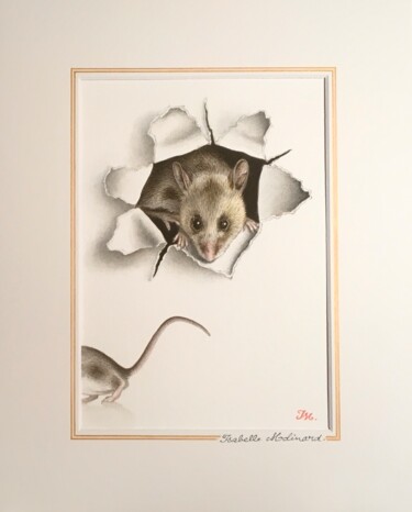 Painting titled "Deux souris" by Isabelle Molinard, Original Artwork, Watercolor