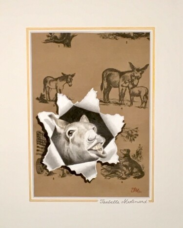 Peinture intitulée "Un âne" par Isabelle Molinard, Œuvre d'art originale, Aquarelle