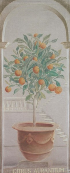 Pintura titulada "Citrus aurantium" por Isabelle Molinard, Obra de arte original, Otro