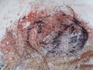 Peinture intitulée "bécasseau caché" par Isabelle Mangin-Lenglet, Œuvre d'art originale, Huile