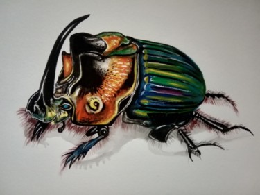 "Coléoptère Rhinocér…" başlıklı Tablo Virginie Isfaoui tarafından, Orijinal sanat, Suluboya