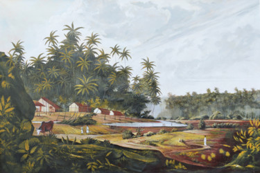 Painting titled "Village Life" by Ishan Senaka Hewage, Original Artwork, Acrylic Mounted on Wood Stretcher frame