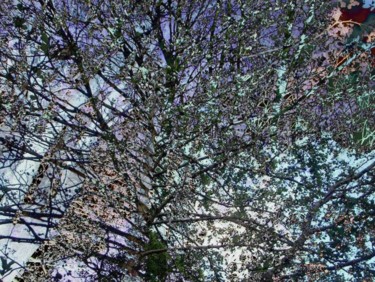 Arts numériques intitulée "Tree canopy high em…" par Millenia Foxtrot (Shadow Zero), Œuvre d'art originale