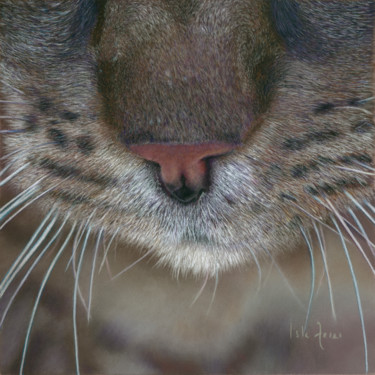 Painting titled "Milo II" by Isla Ferrer, Original Artwork, Pastel Mounted on Other rigid panel