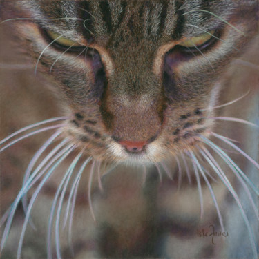 Painting titled "Milo III" by Isla Ferrer, Original Artwork, Pastel Mounted on Other rigid panel