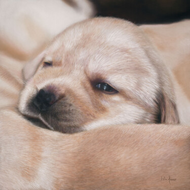 Schilderij getiteld "Dozing Puppies" door Isla Ferrer, Origineel Kunstwerk, Pastel Gemonteerd op Andere stijve panelen