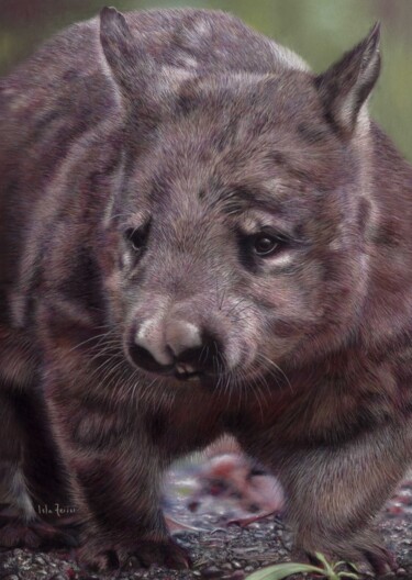 Painting titled "Wee Willie Wombat" by Isla Ferrer, Original Artwork, Pastel Mounted on Other rigid panel