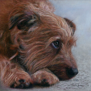 Painting titled "Milo" by Isla Ferrer, Original Artwork, Pastel Mounted on Other rigid panel