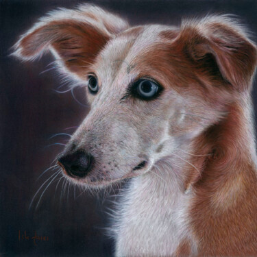 Schilderij getiteld "Millie" door Isla Ferrer, Origineel Kunstwerk, Pastel Gemonteerd op Andere stijve panelen