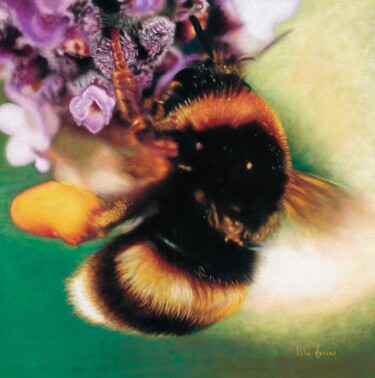 Pintura intitulada "Feed the Bees" por Isla Ferrer, Obras de arte originais, Pastel