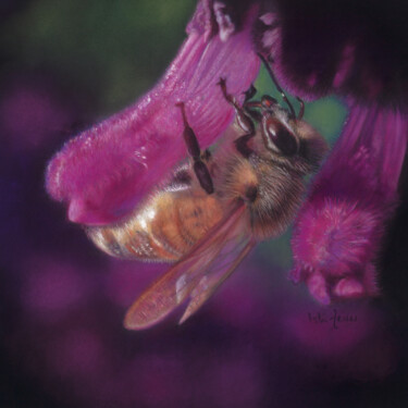Painting titled "Bee at Work" by Isla Ferrer, Original Artwork, Pastel Mounted on Other rigid panel
