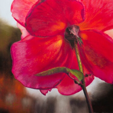Painting titled "The Last Rose of Su…" by Isla Ferrer, Original Artwork, Pastel Mounted on Other rigid panel