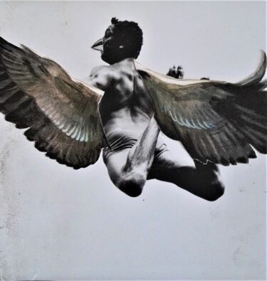 Collagen mit dem Titel "Phoenix" von Isra, Original-Kunstwerk, Collagen